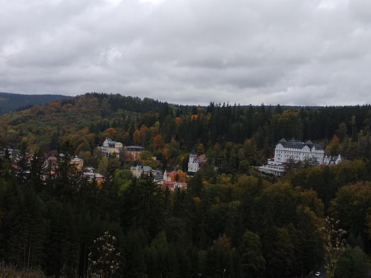 Apartman Friedrichsruh Apartment Marianske Lazne Bagian luar foto