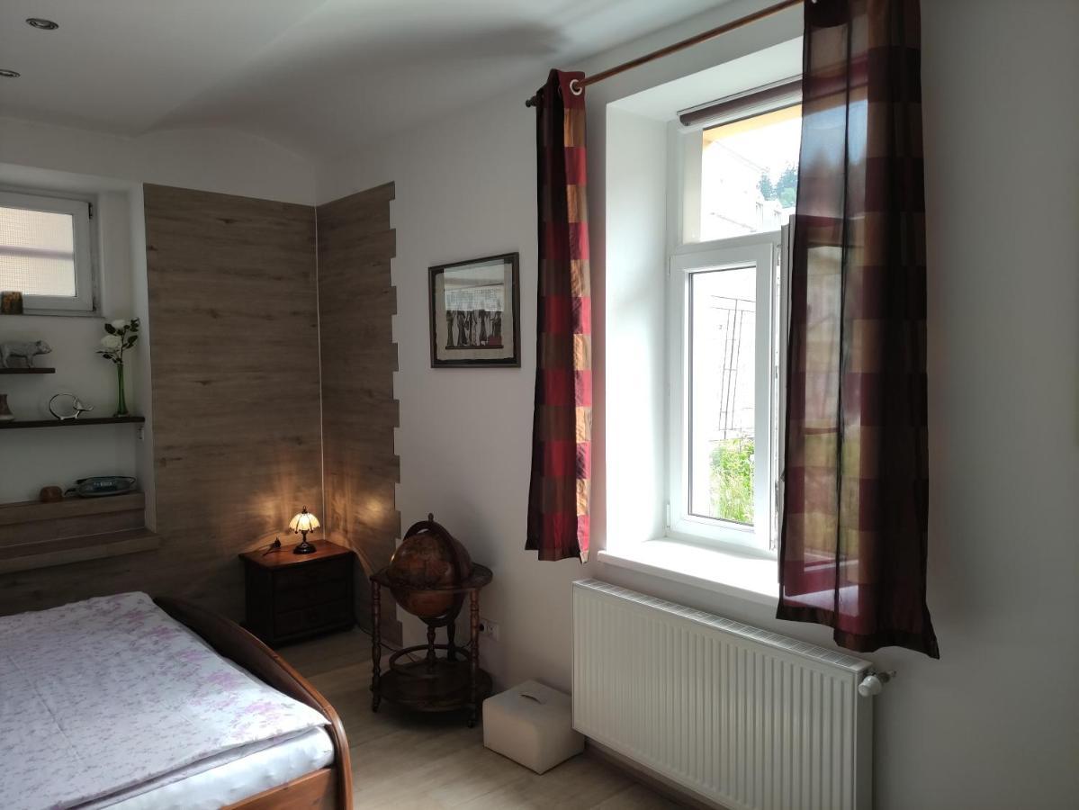 Apartman Friedrichsruh Apartment Marianske Lazne Bagian luar foto