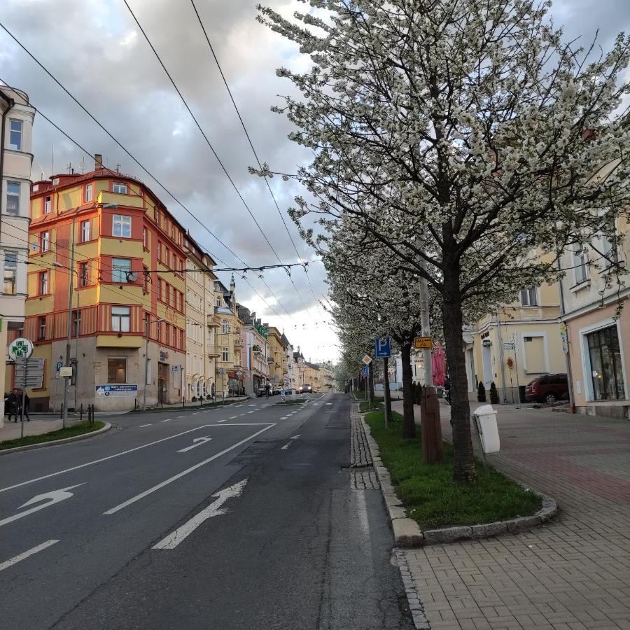 Apartman Friedrichsruh Apartment Marianske Lazne Bagian luar foto