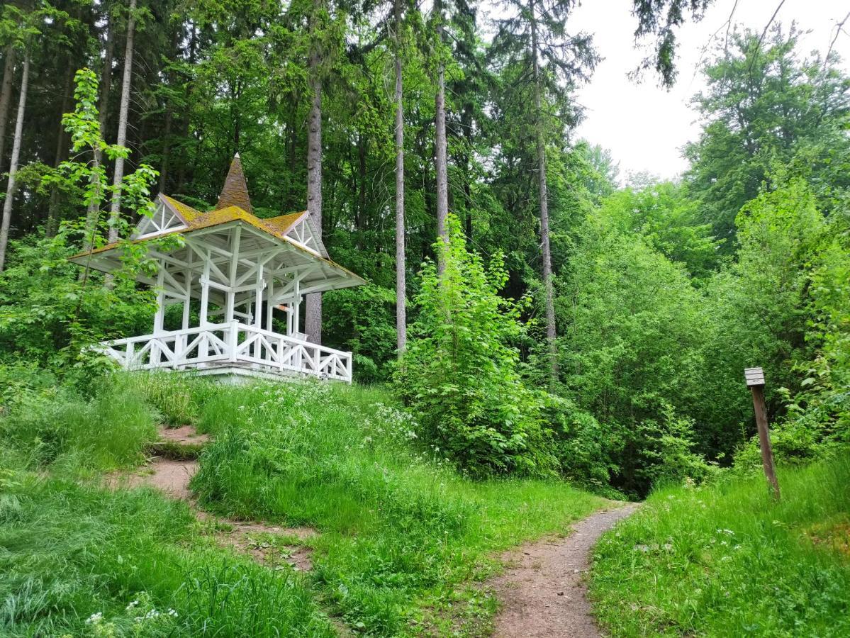 Apartman Friedrichsruh Apartment Marianske Lazne Bagian luar foto