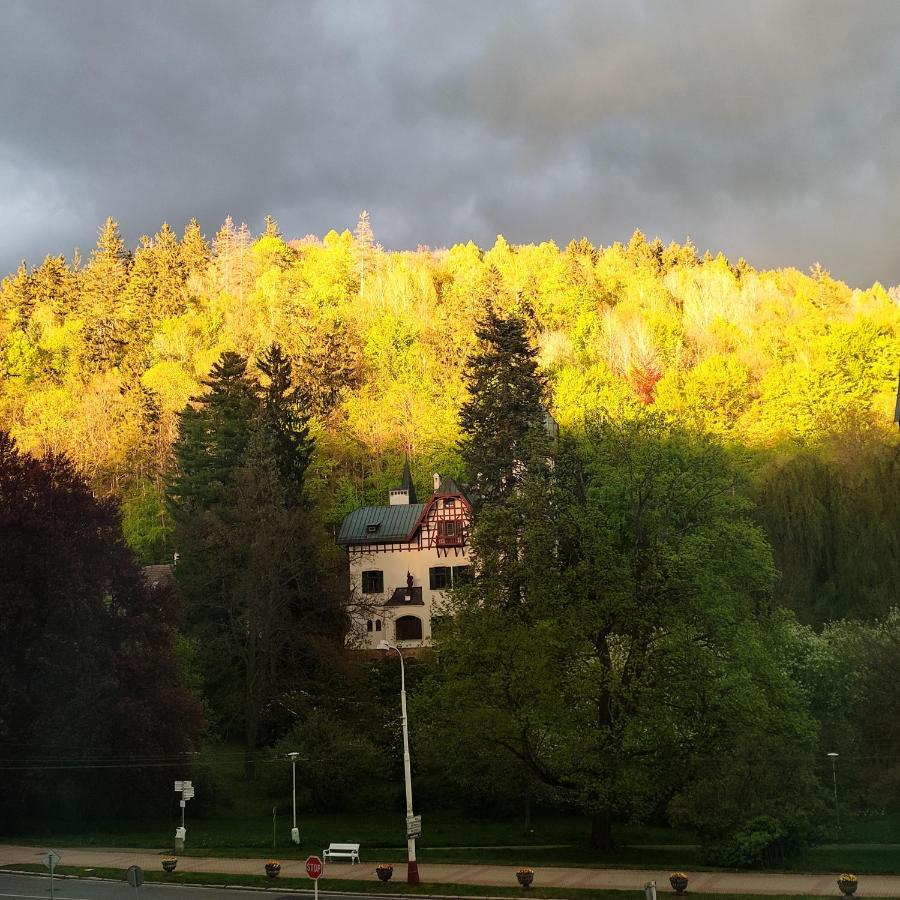 Apartman Friedrichsruh Apartment Marianske Lazne Bagian luar foto
