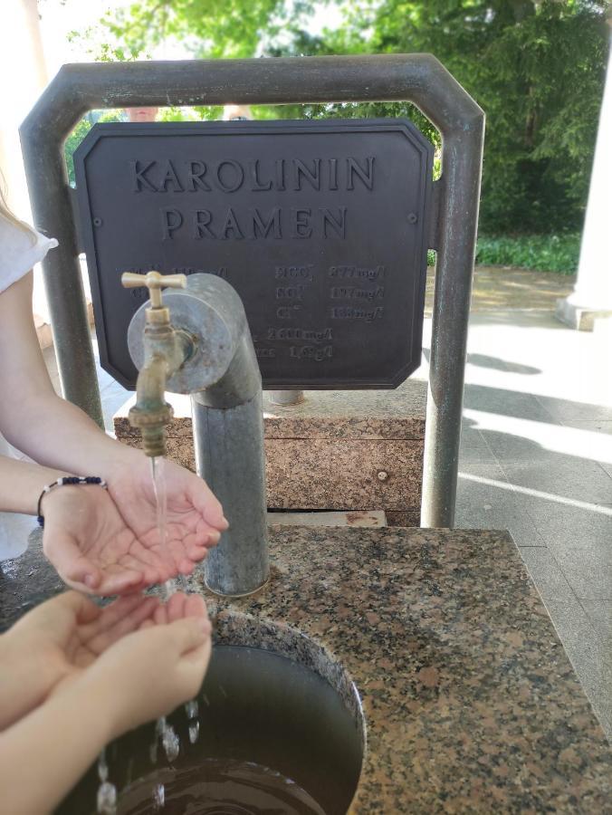 Apartman Friedrichsruh Apartment Marianske Lazne Bagian luar foto
